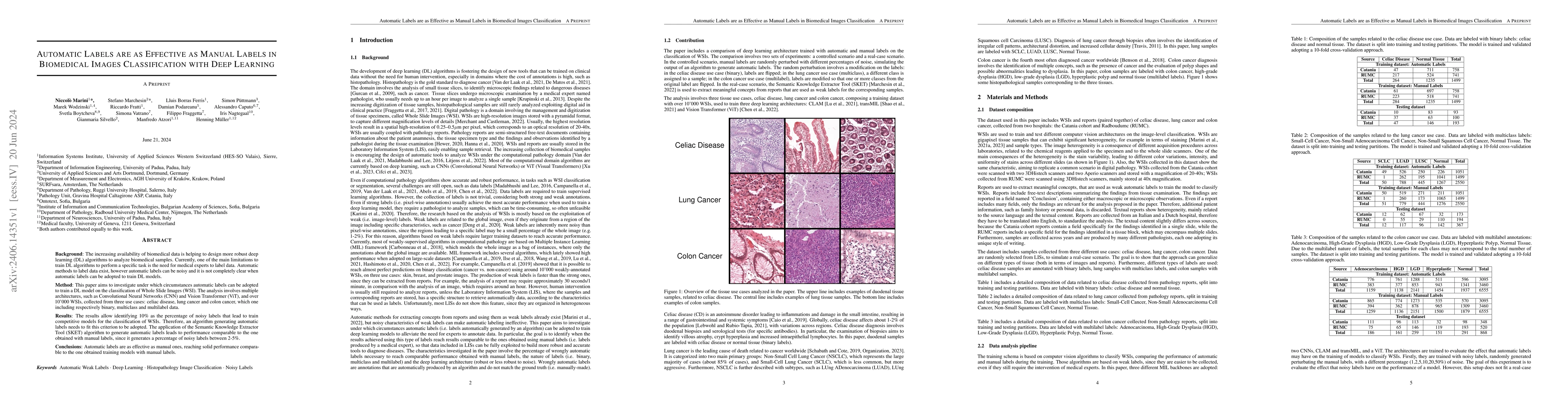 Thumbnail for Automatic Labels are as Effective as Manual Labels in Biomedical Images
  Classification with Deep Learning