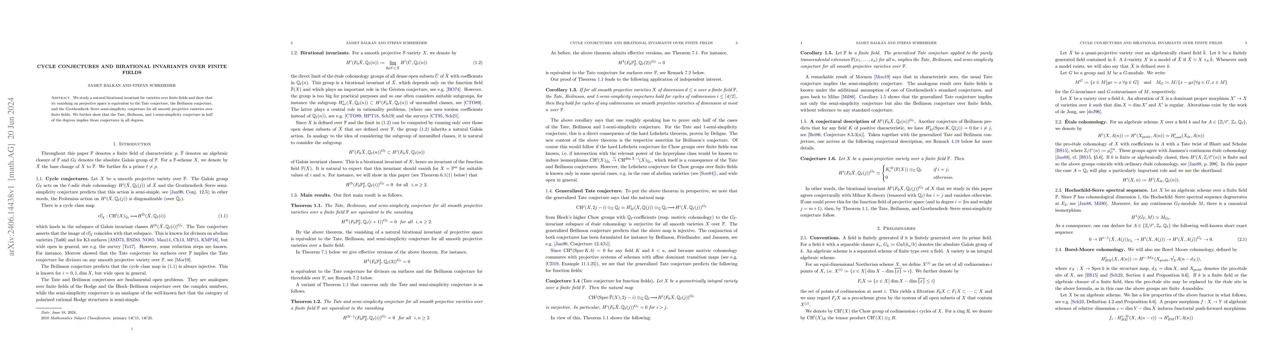 Thumbnail for Cycle conjectures and birational invariants over finite fields