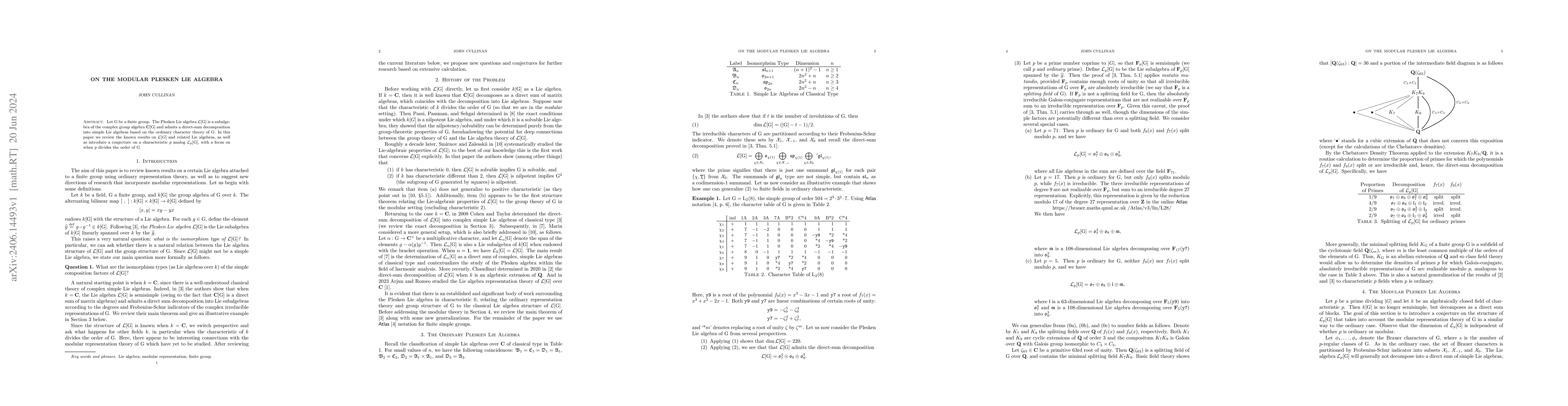 Thumbnail for On the modular Plesken Lie algebra