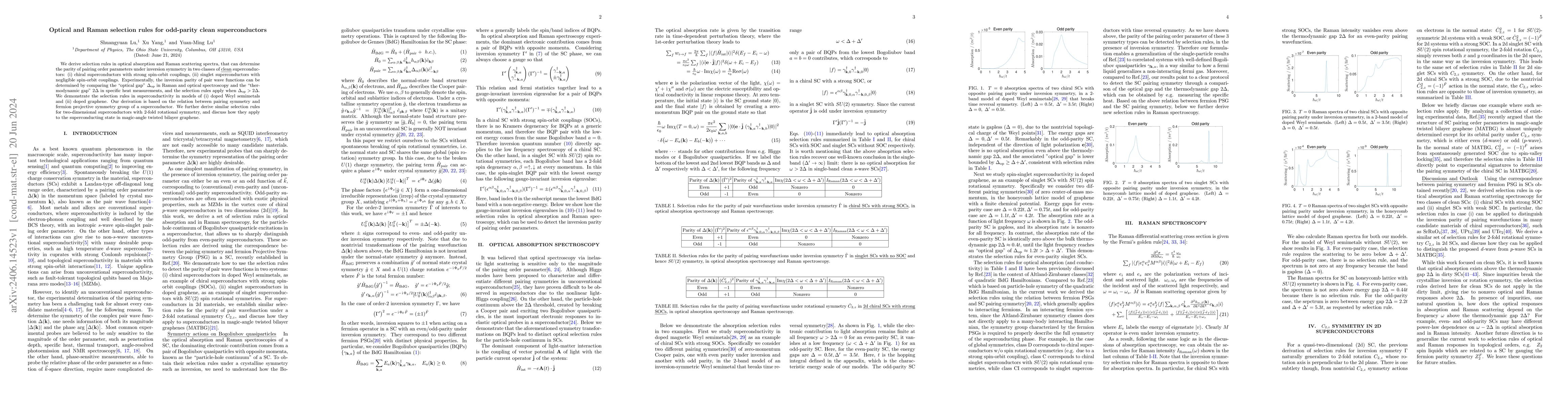 Thumbnail for Optical and Raman selection rules for odd-parity clean superconductors