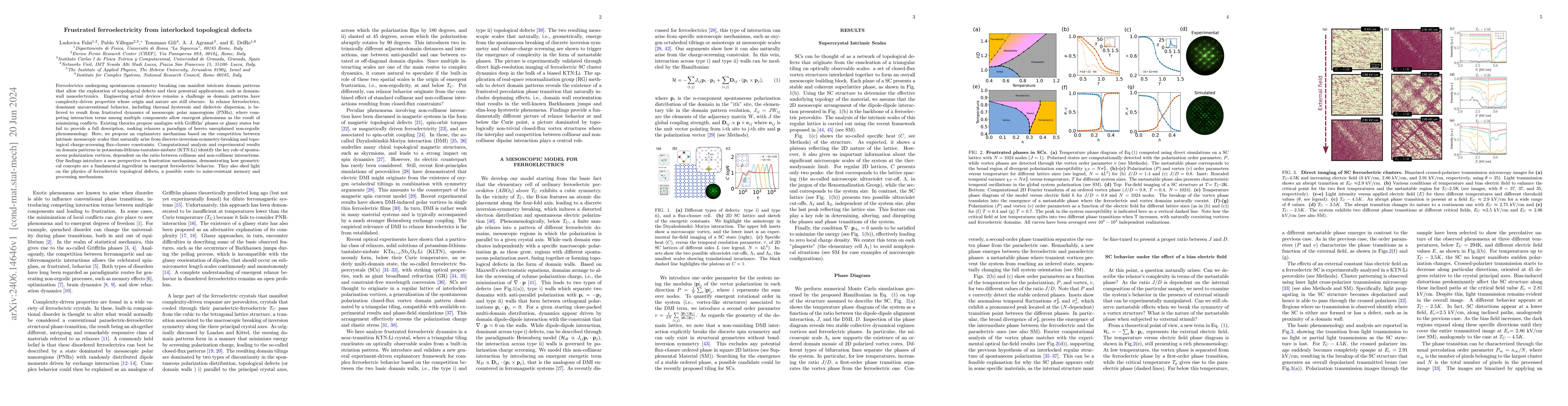 Thumbnail for Frustrated ferroelectricity from interlocked topological defects