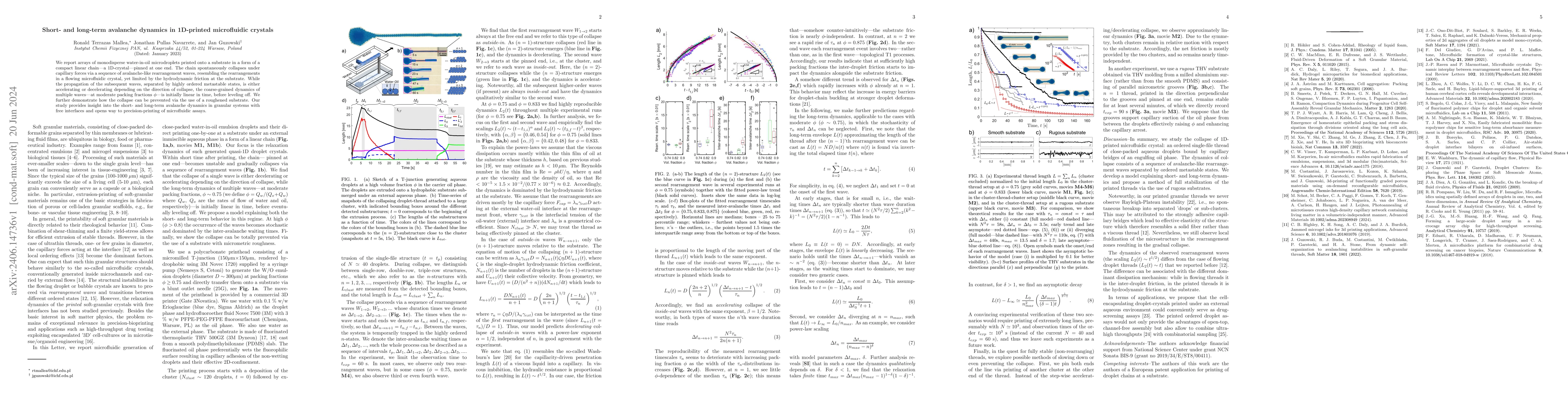 Thumbnail for Short- and long-term avalanche dynamics in 1D-printed microfluidic
  crystals