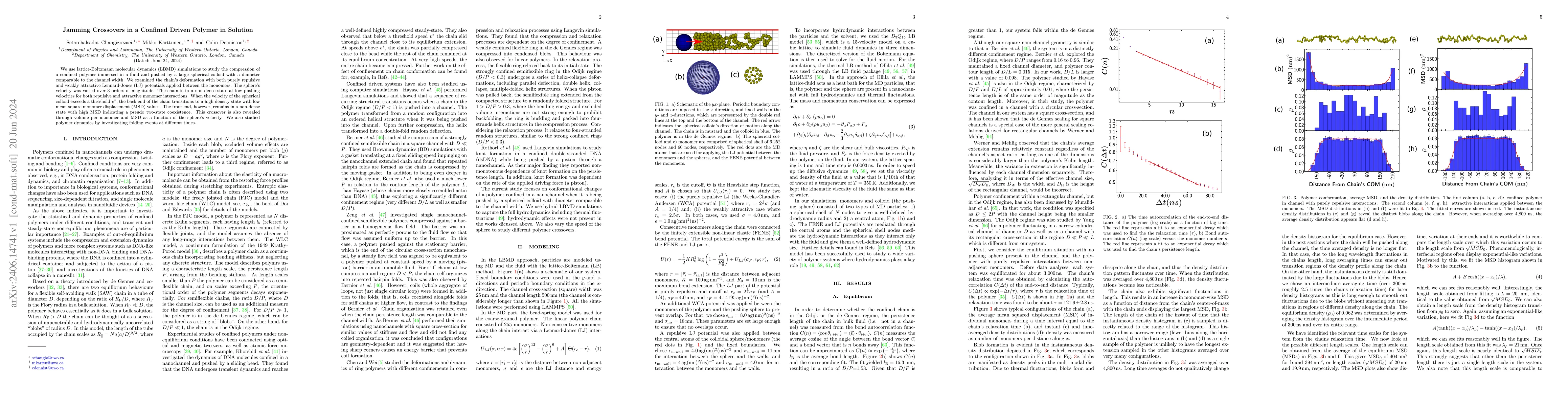 Thumbnail for Jamming Crossovers in a Confined Driven Polymer in Solution