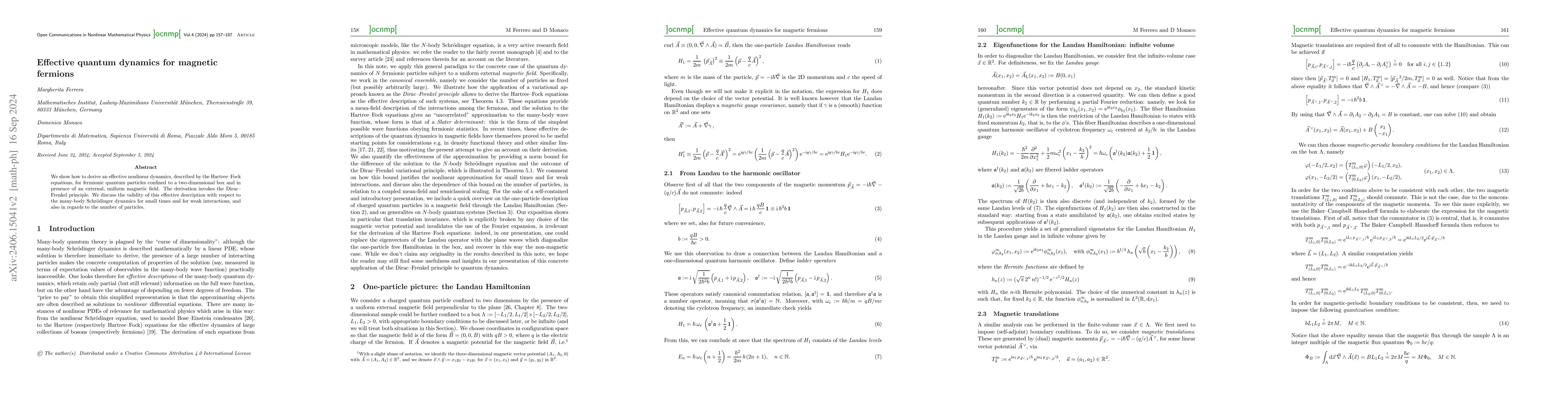 Thumbnail for Effective quantum dynamics for magnetic fermions