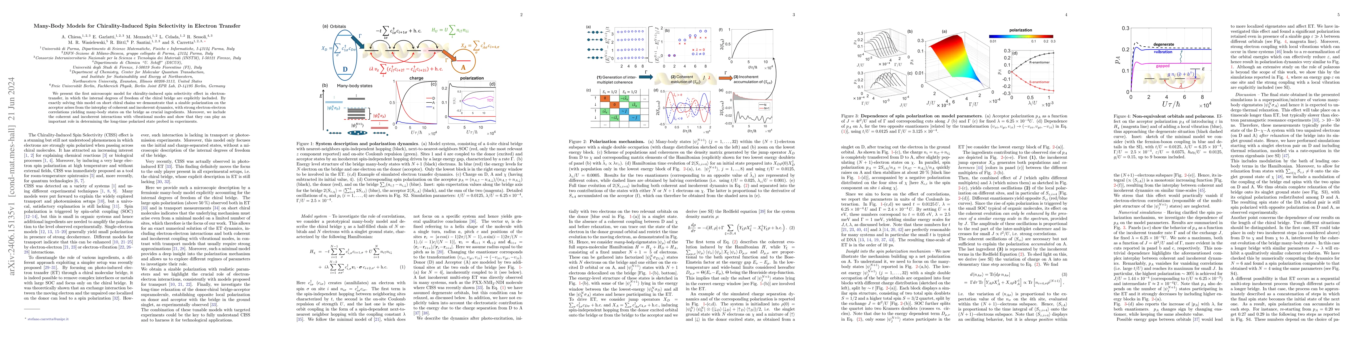 Thumbnail for Many-Body Models for Chirality-Induced Spin Selectivity in Electron
  Transfer