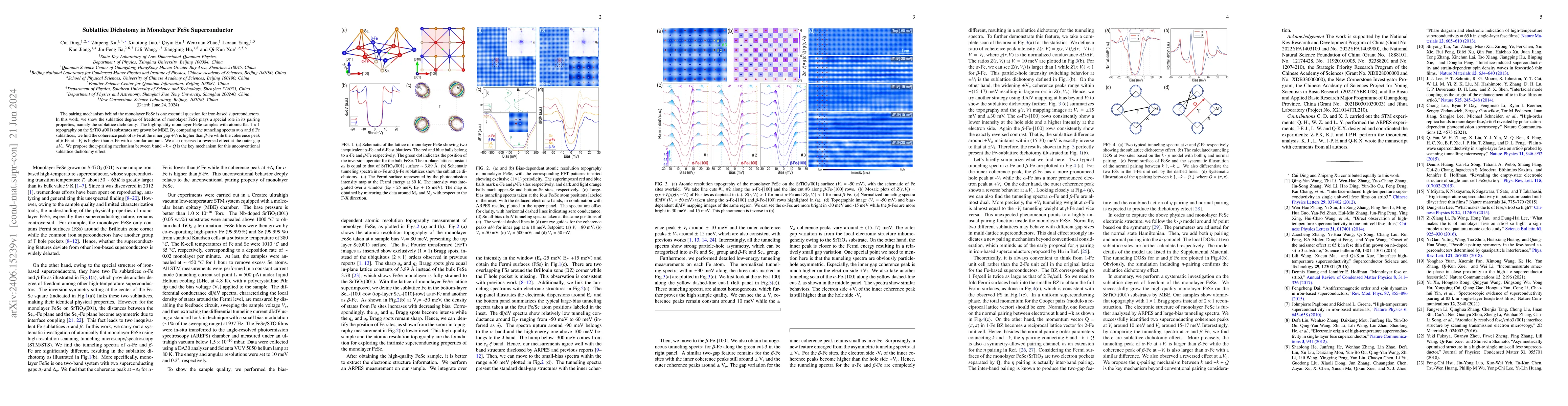 Thumbnail for Sublattice Dichotomy in Monolayer FeSe Superconductor