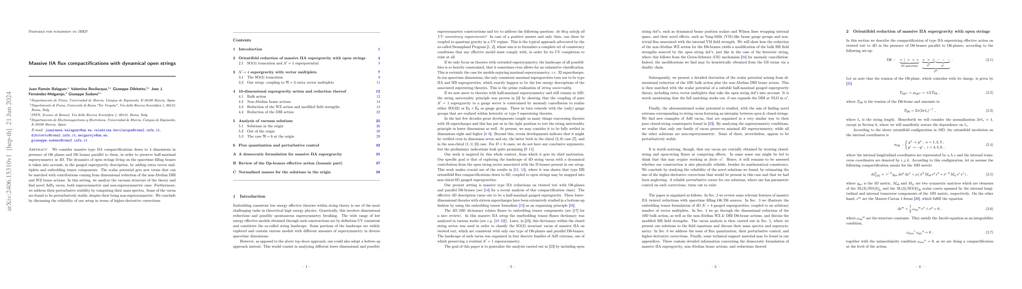 Thumbnail for Massive IIA flux compactifications with dynamical open strings