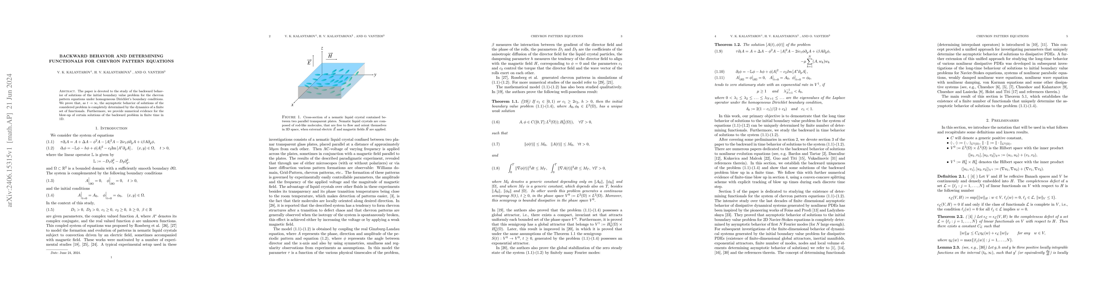 Thumbnail for Backward Behavior and Determining Functionals for Chevron Pattern
  Equations