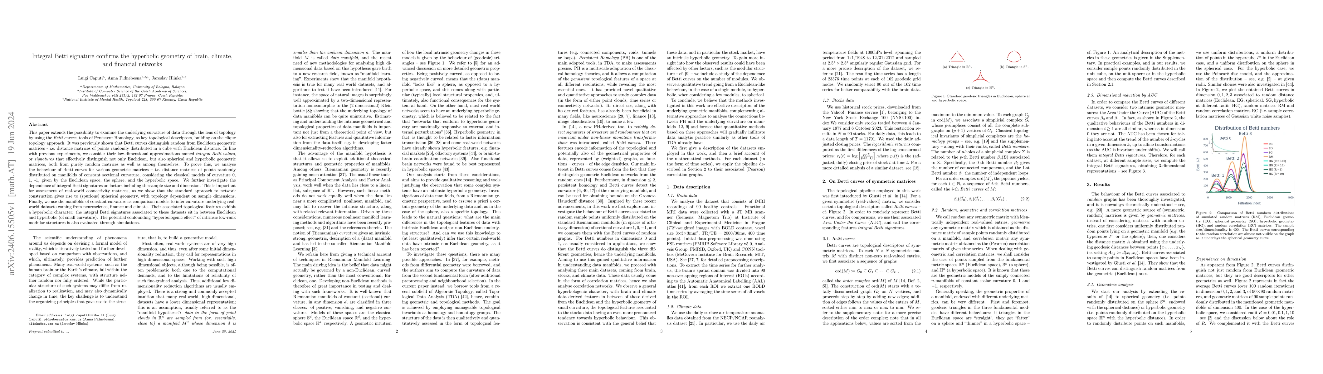 Thumbnail for Integral Betti signature confirms the hyperbolic geometry of brain,
  climate, and financial networks