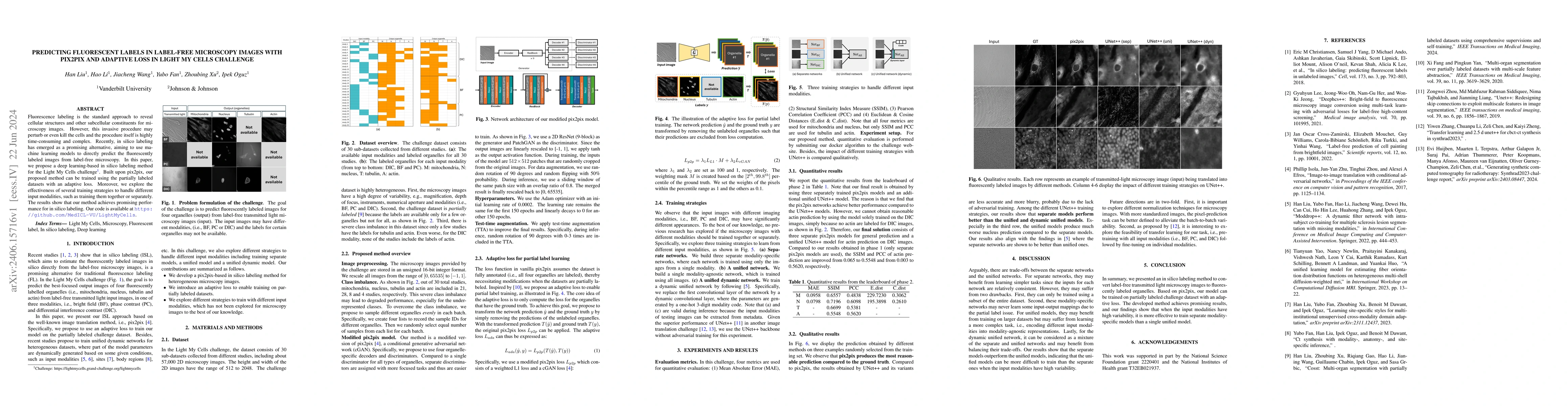 Thumbnail for Predicting fluorescent labels in label-free microscopy images with
  pix2pix and adaptive loss in Light My Cells challenge