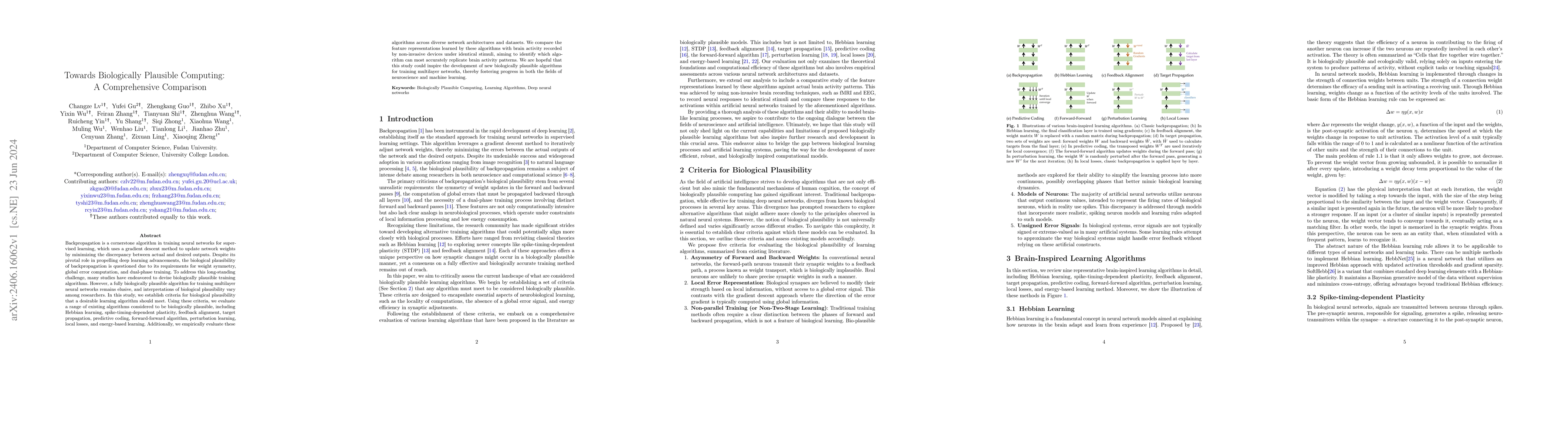 Thumbnail for Towards Biologically Plausible Computing: A Comprehensive Comparison