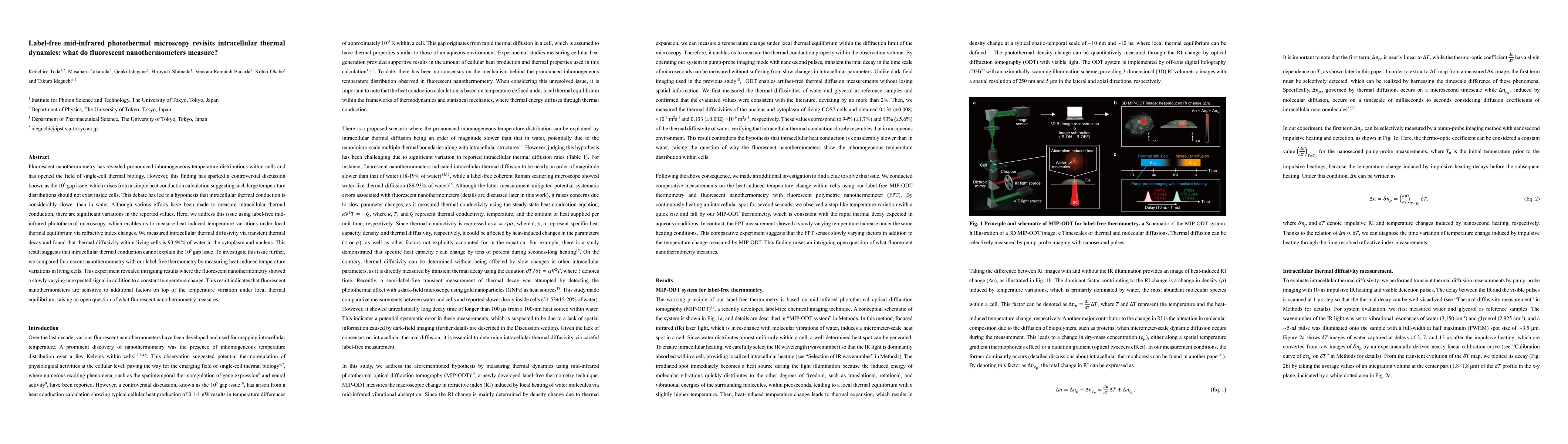 Thumbnail for Label-free mid-infrared photothermal microscopy revisits intracellular
  thermal dynamics: what do fluorescent nanothermometers measure?