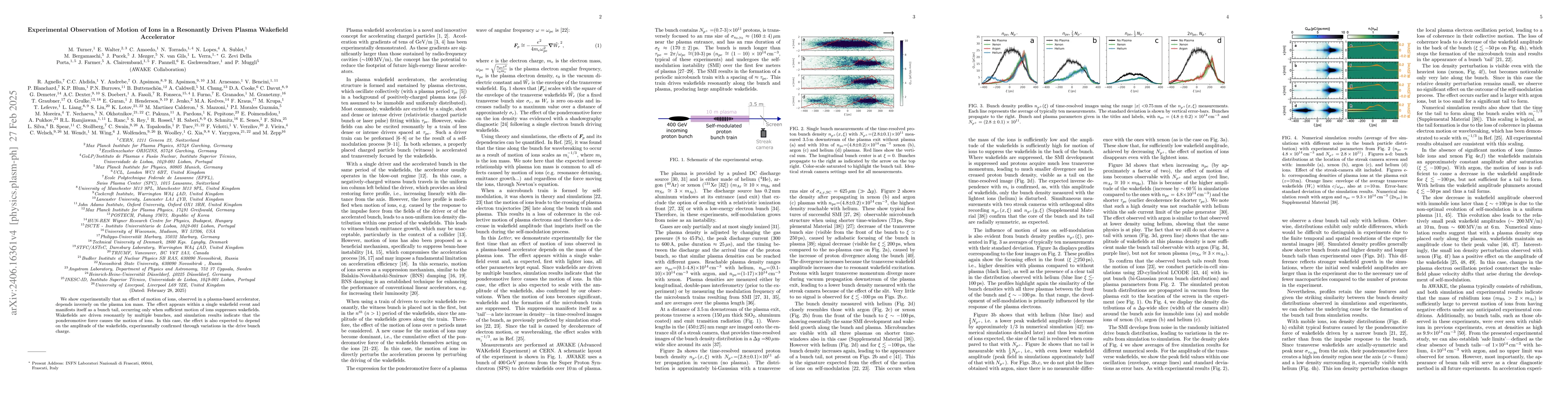 Thumbnail for Experimental Observation of Motion of Ions in a Resonantly Driven Plasma
  Wakefield Accelerator