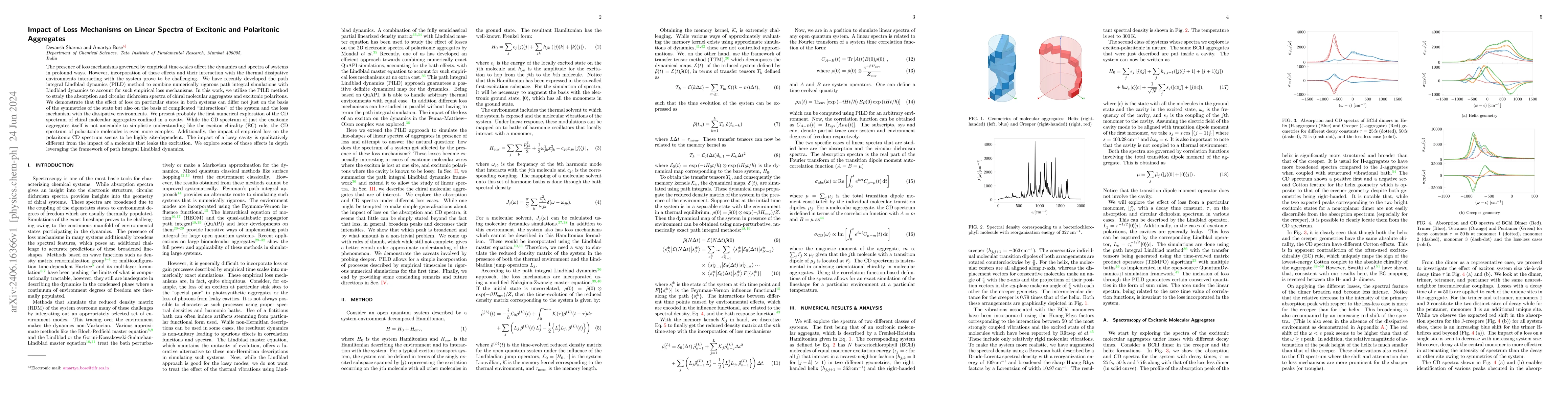 Thumbnail for Impact of Loss Mechanisms on Linear Spectra of Excitonic and Polaritonic
  Aggregates