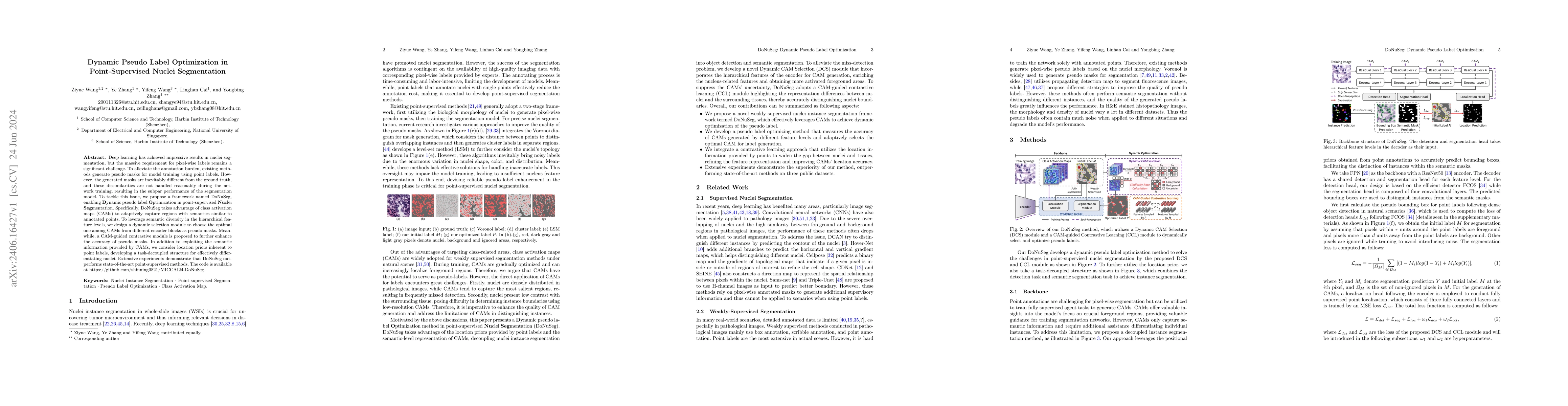 Thumbnail for Dynamic Pseudo Label Optimization in Point-Supervised Nuclei
  Segmentation