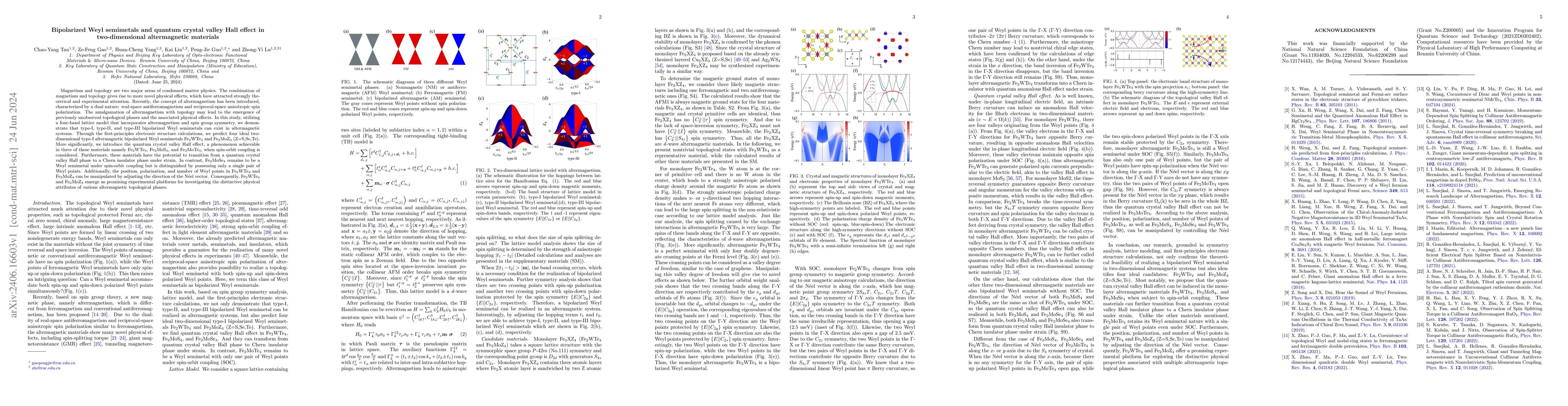 Thumbnail for Bipolarized Weyl semimetals and quantum crystal valley Hall effect in
  two-dimensional altermagnetic materials