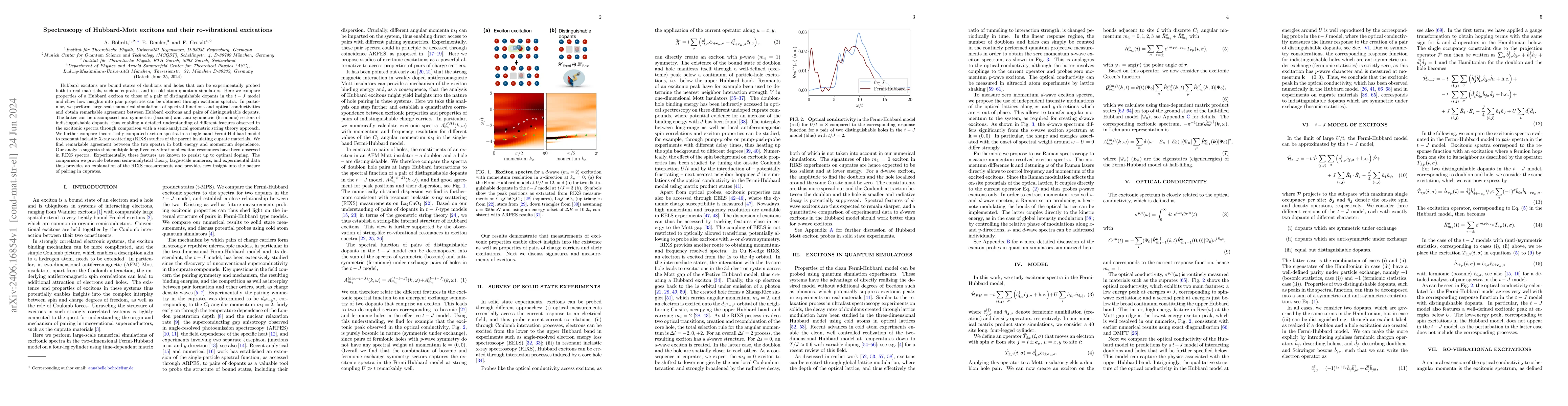Thumbnail for Spectroscopy of Hubbard-Mott excitons and their ro-vibrational
  excitations