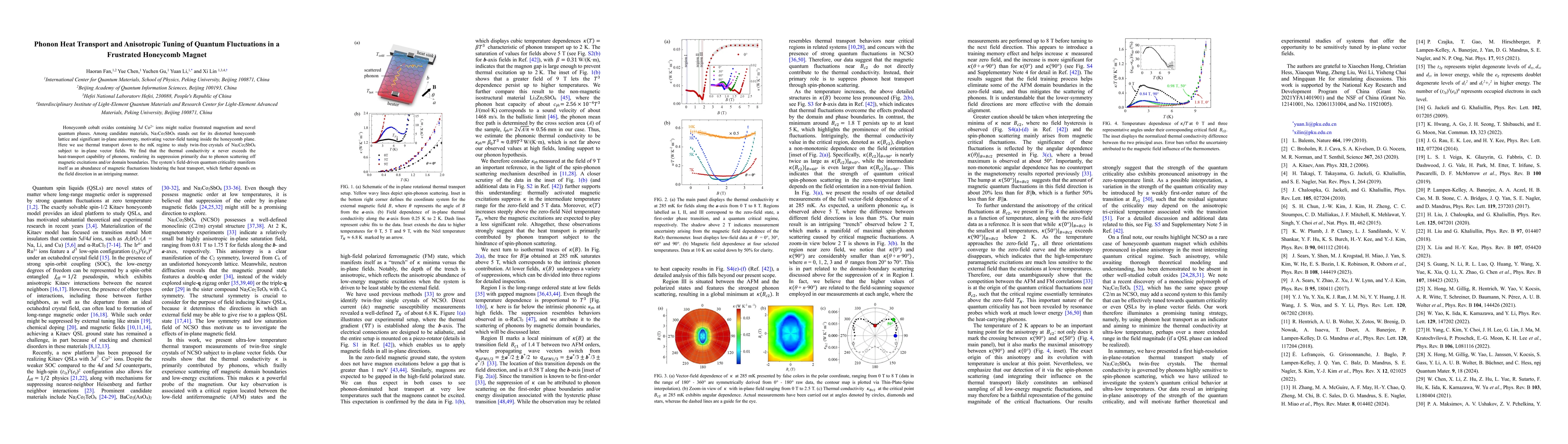 Thumbnail for Phonon Heat Transport and Anisotropic Tuning of Quantum Fluctuations in
  a Frustrated Honeycomb Magnet