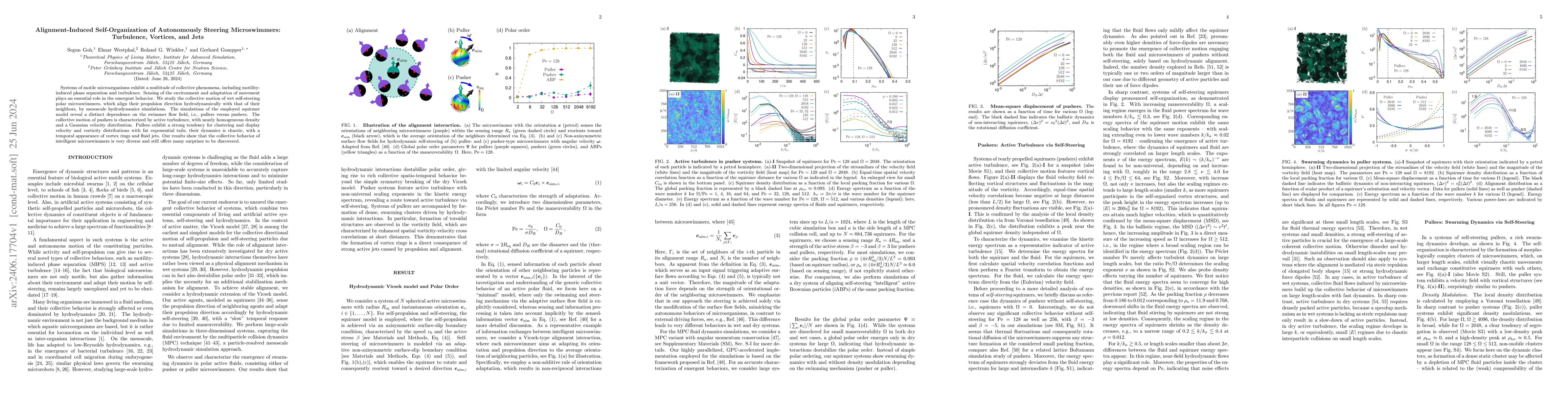 Thumbnail for Alignment-Induced Self-Organization of Autonomously Steering
  Microswimmers: Turbulence, Vortices, and Jets