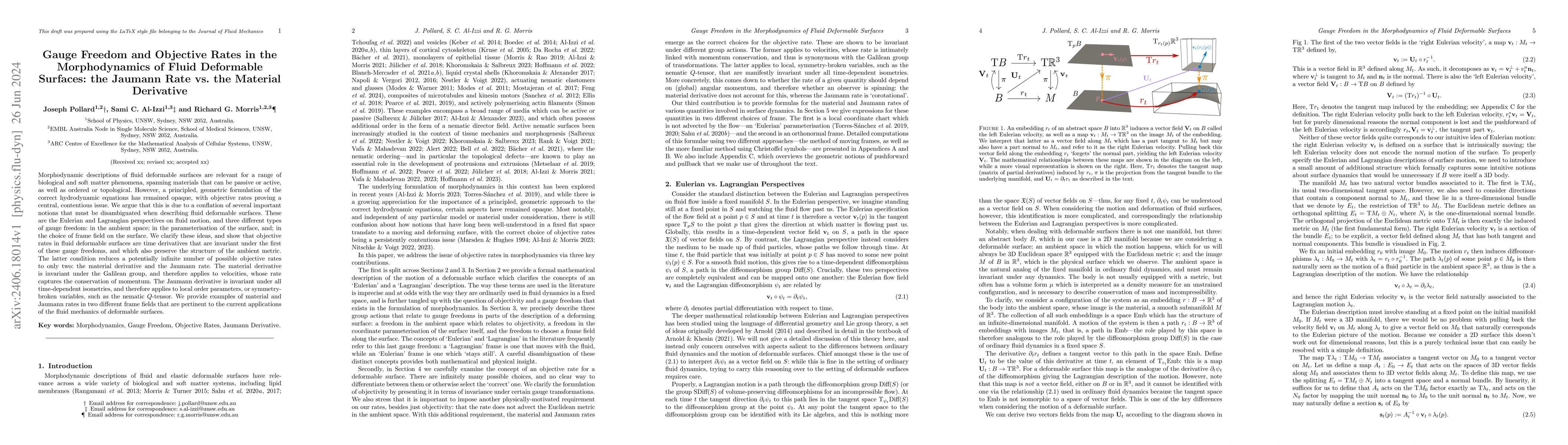 Thumbnail for Gauge Freedom and Objective Rates in the Morphodynamics of Fluid
  Deformable Surfaces: the Jaumann Rate vs. the Material Derivative
