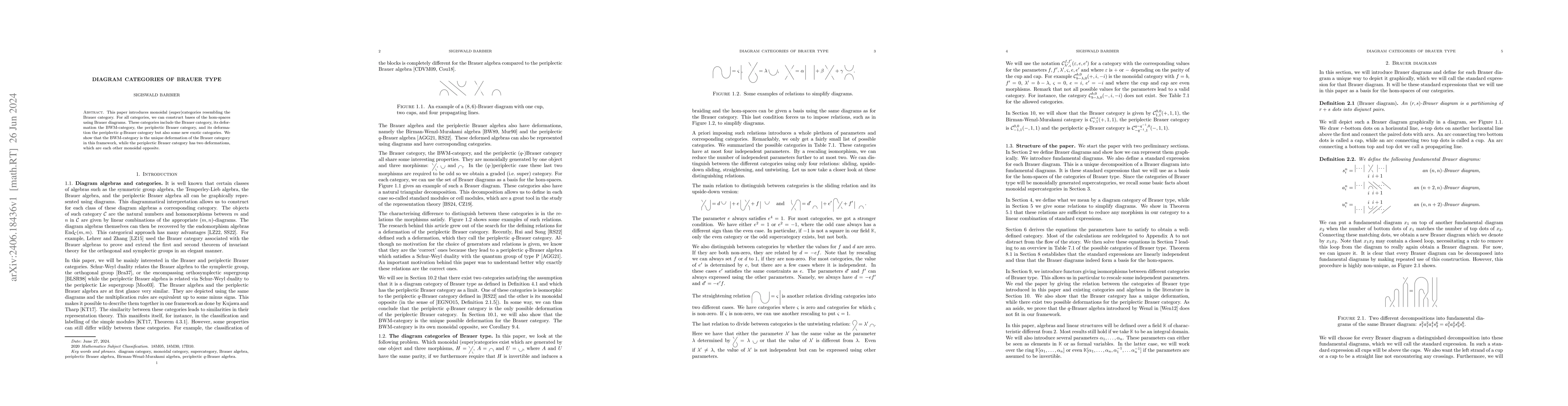 Thumbnail for Diagram categories of Brauer type