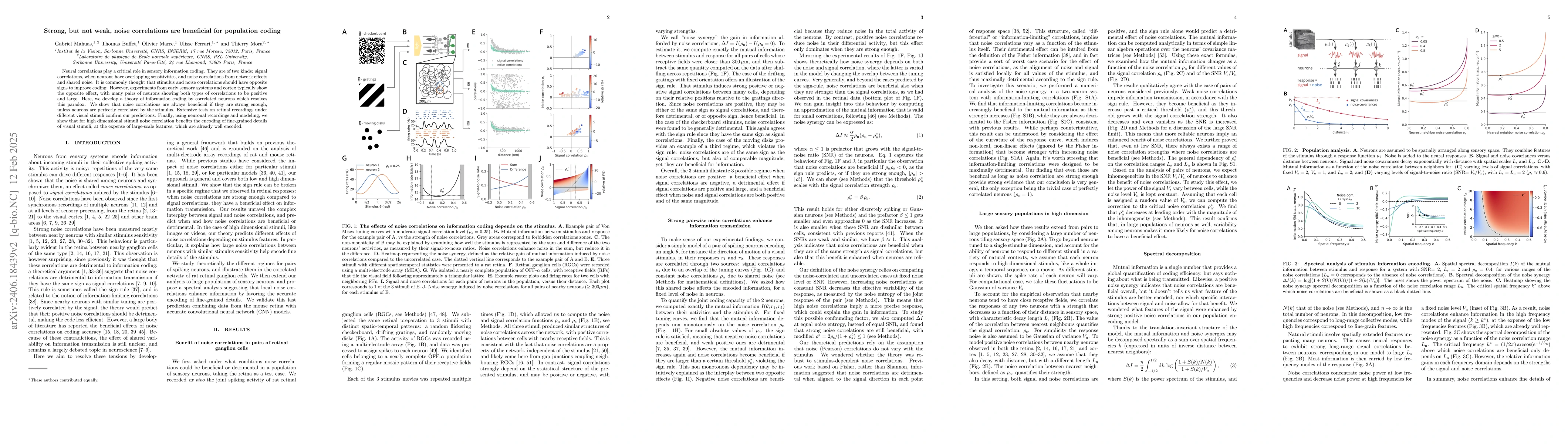 Thumbnail for Strong, but not weak, noise correlations are beneficial for population
  coding