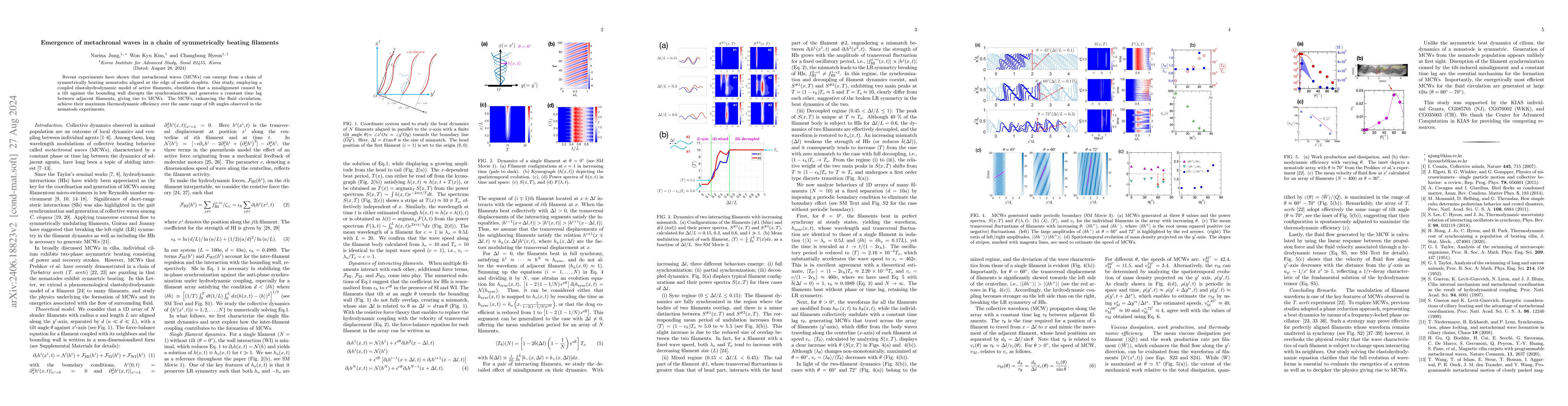 Thumbnail for Emergence of metachronal waves in a chain of symmetrically beating
  filaments