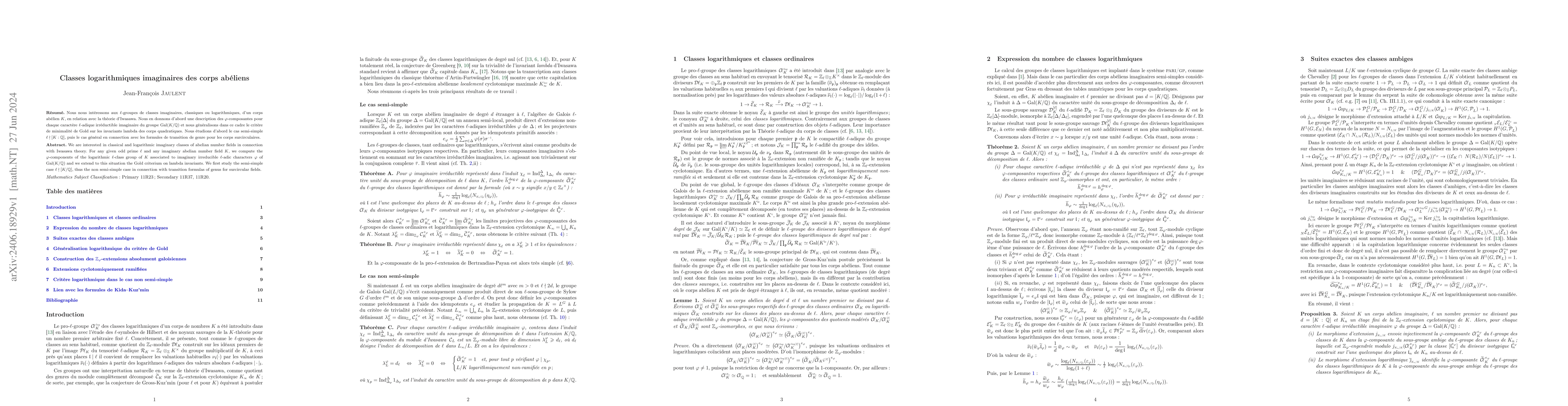 Thumbnail for Imaginary logarithmic classes of abelian number fields
