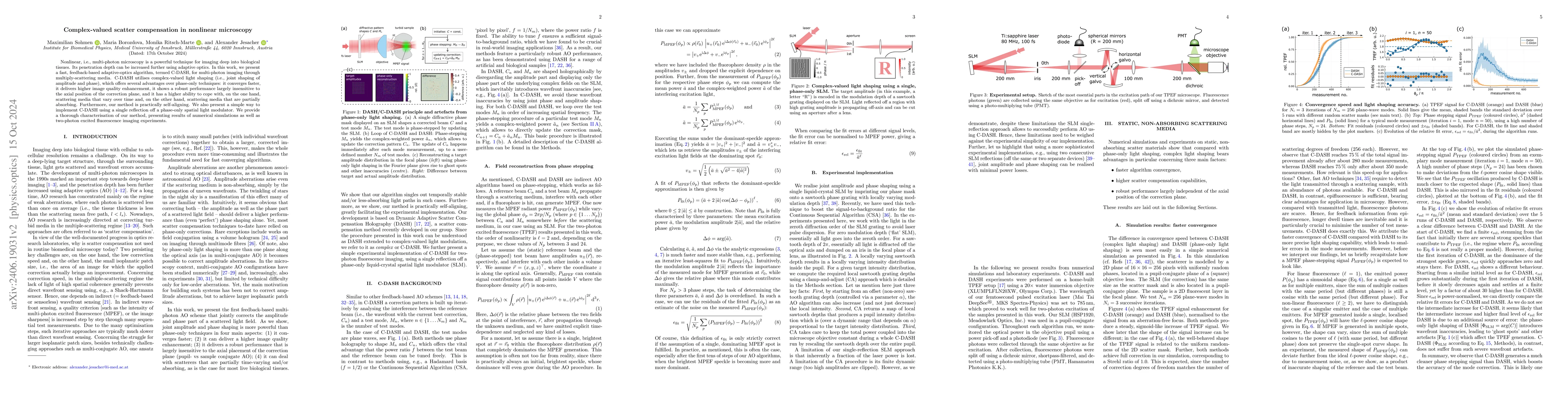 Thumbnail for Complex-valued scatter compensation in nonlinear microscopy