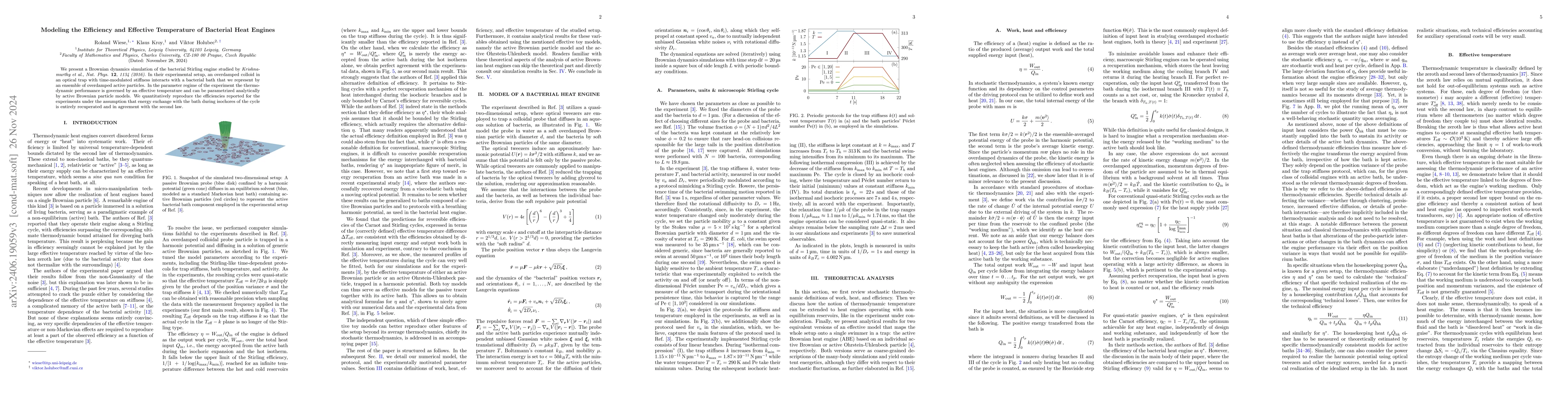 Thumbnail for Modeling the Efficiency and Effective Temperature of Bacterial Heat
  Engines