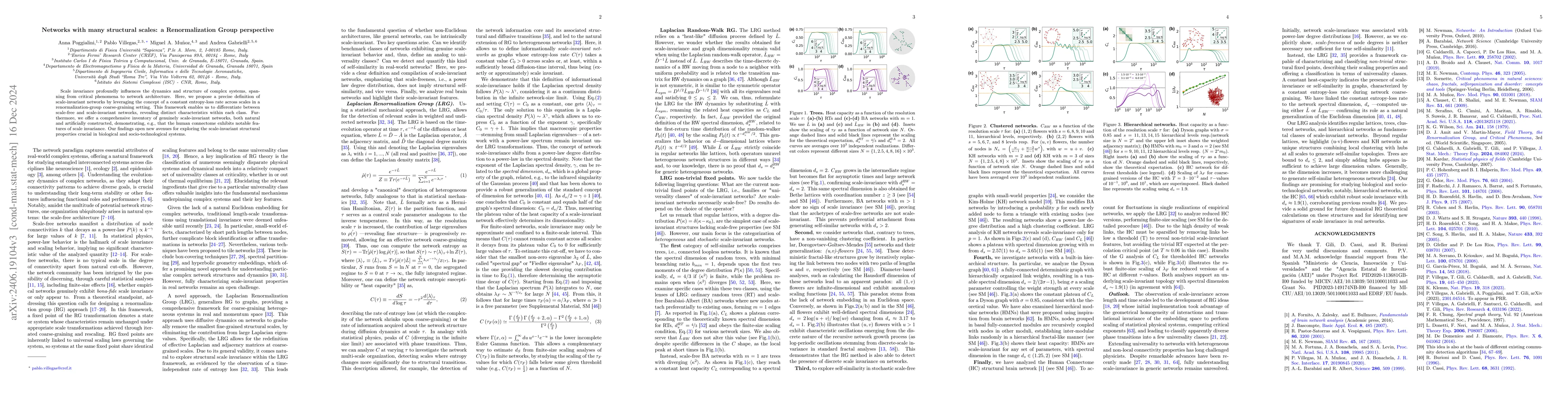 Thumbnail for Networks with many structural scales: a Renormalization Group
  perspective