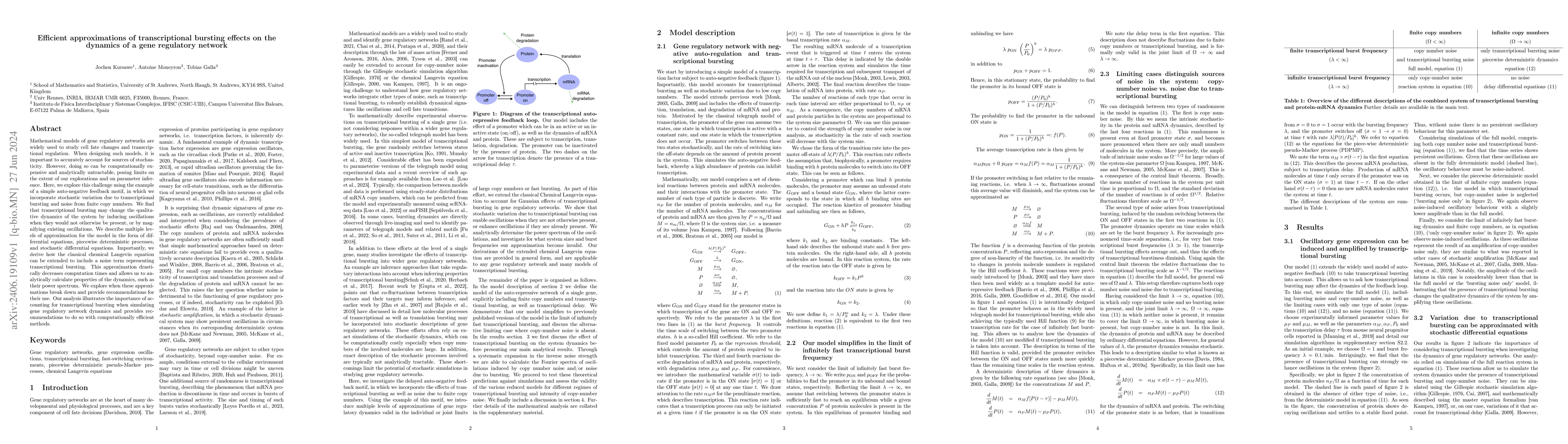 Thumbnail for Efficient approximations of transcriptional bursting effects on the
  dynamics of a gene regulatory network