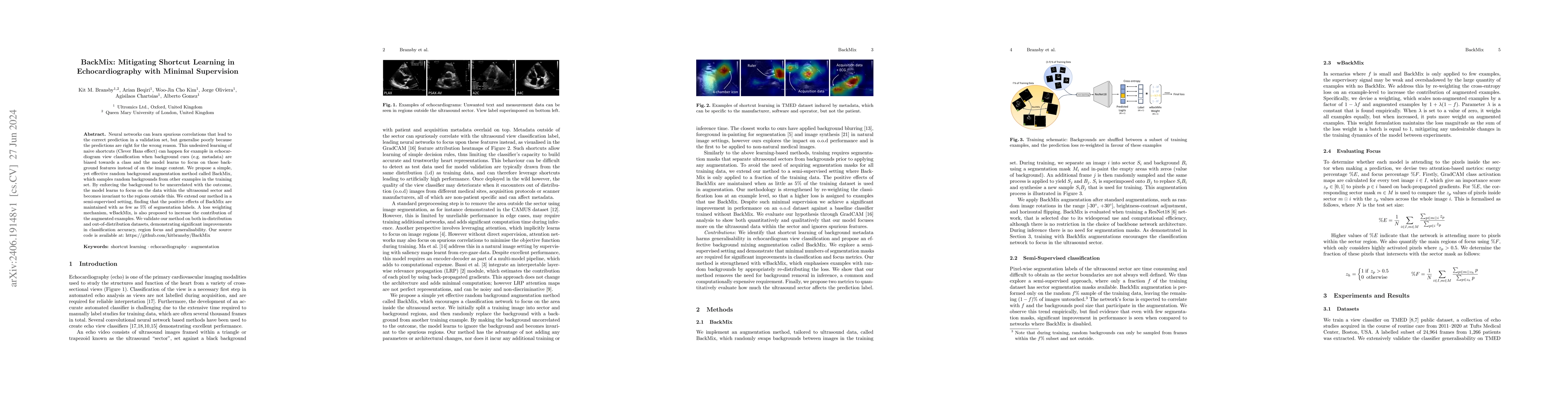 Thumbnail for BackMix: Mitigating Shortcut Learning in Echocardiography with Minimal
  Supervision