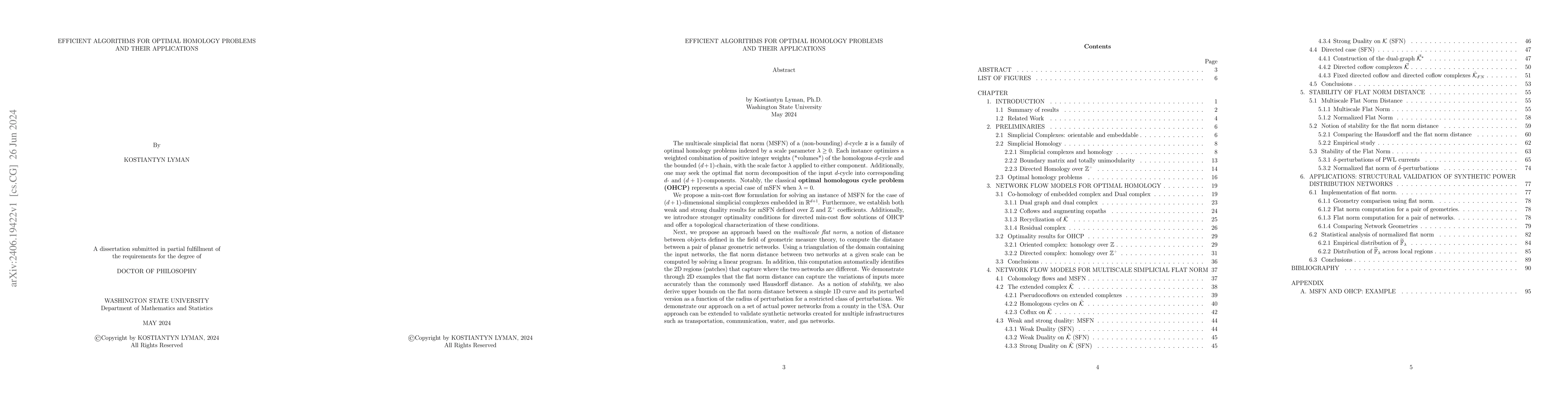 Thumbnail for Efficient algorithms for optimal homology problems and their
  applications