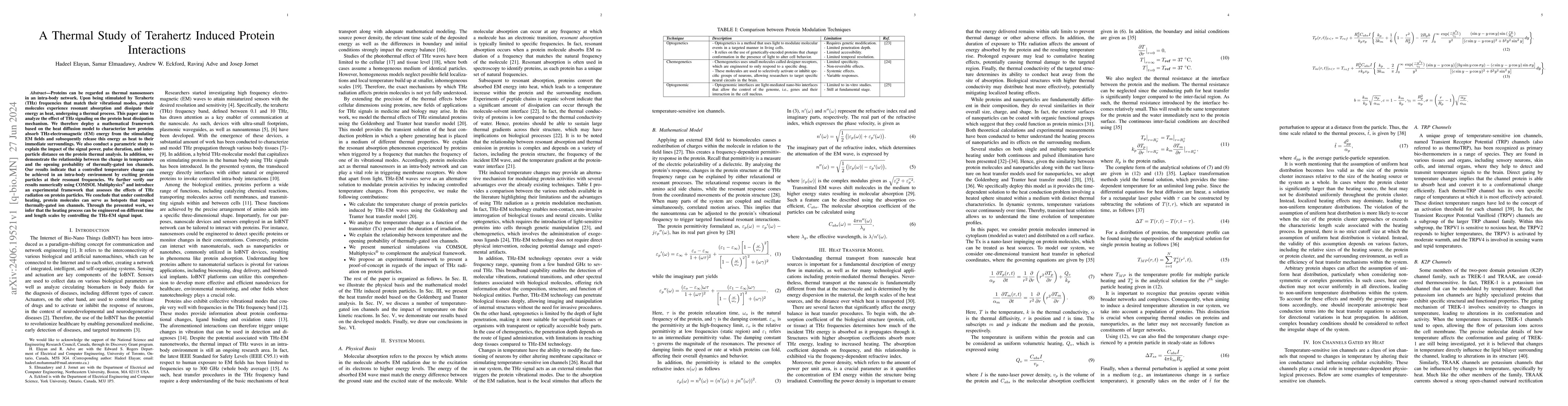 Thumbnail for A Thermal Study of Terahertz Induced Protein Interactions