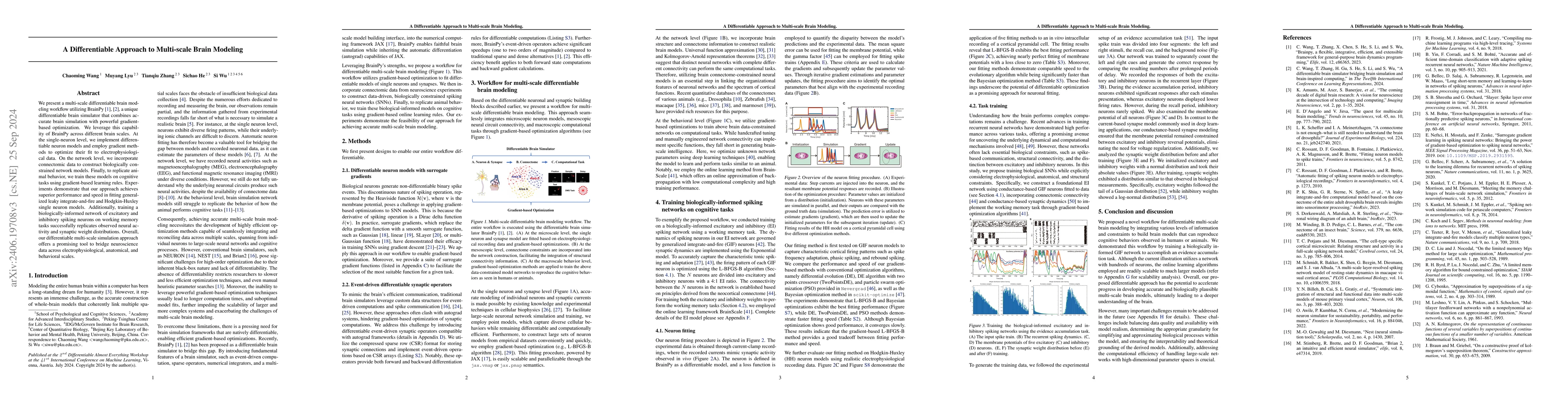 Thumbnail for A Differentiable Approach to Multi-scale Brain Modeling