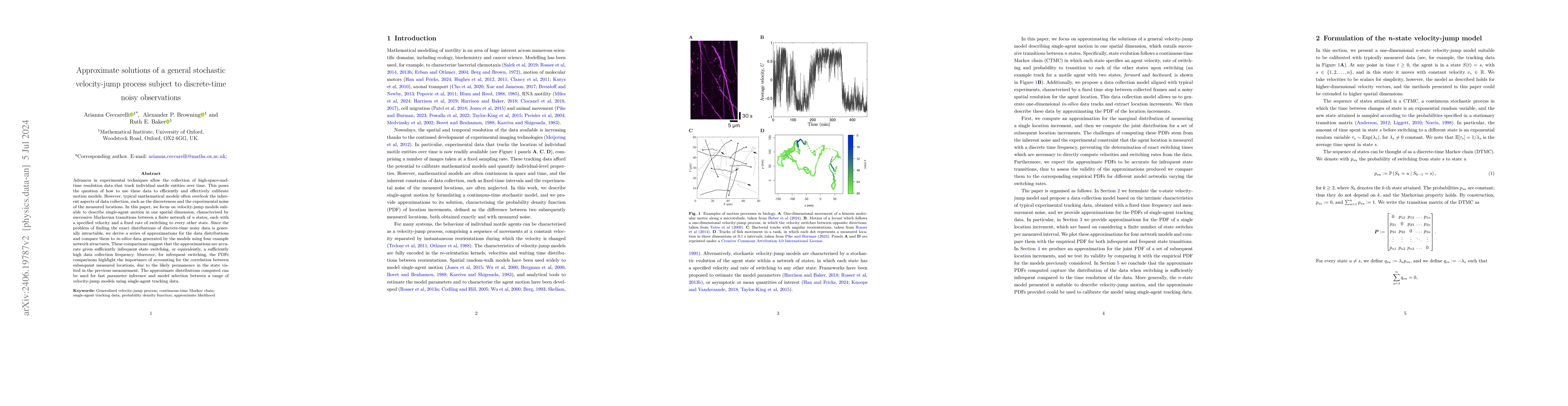Thumbnail for Approximate solutions of a general stochastic velocity-jump process
  subject to discrete-time noisy observations