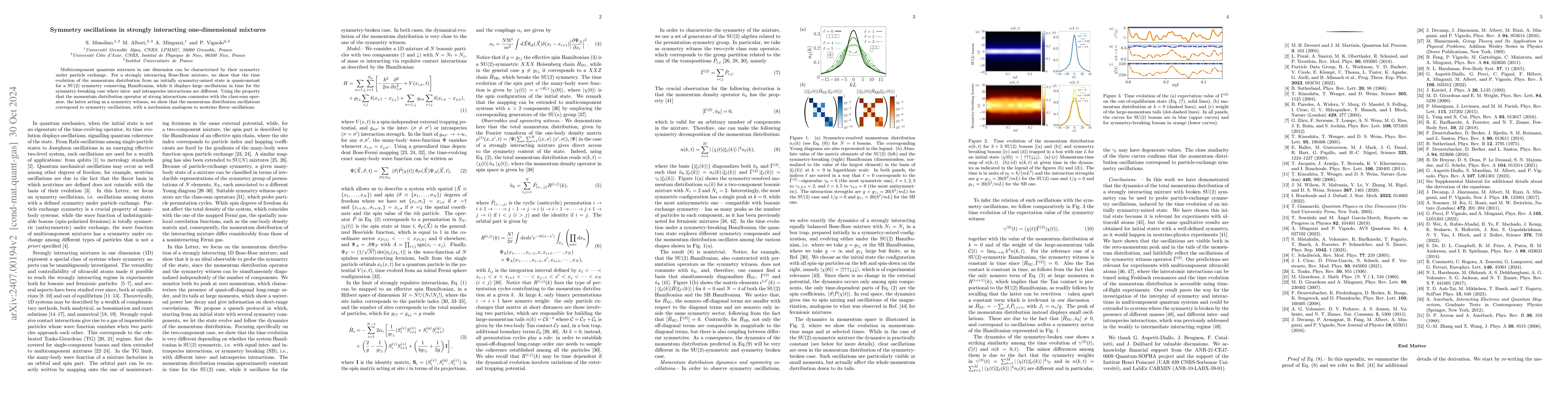 Thumbnail for Symmetry oscillations in strongly interacting one-dimensional mixtures
