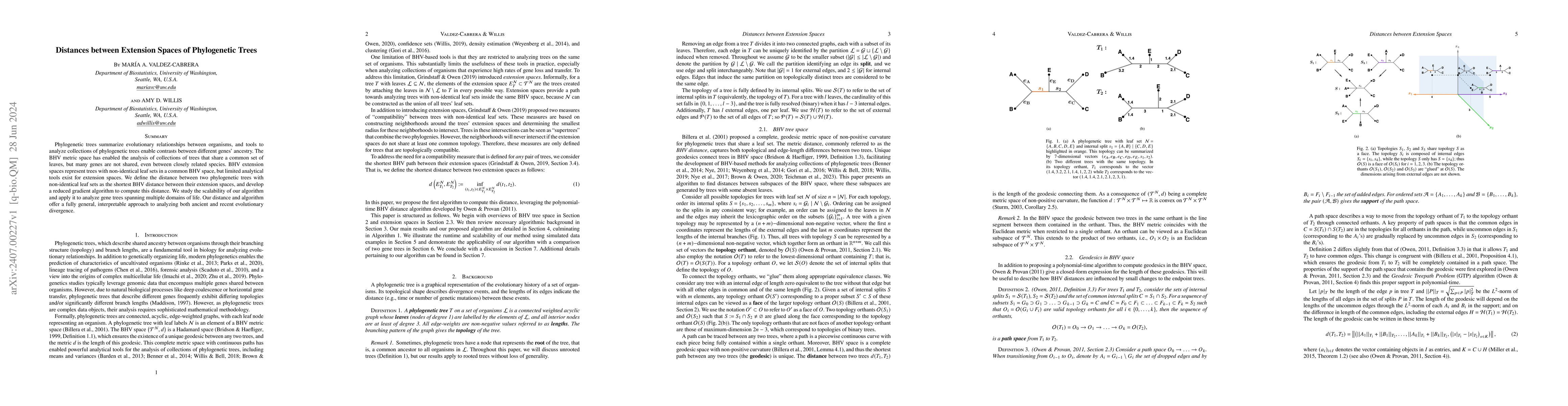 Thumbnail for Distances between Extension Spaces of Phylogenetic Trees