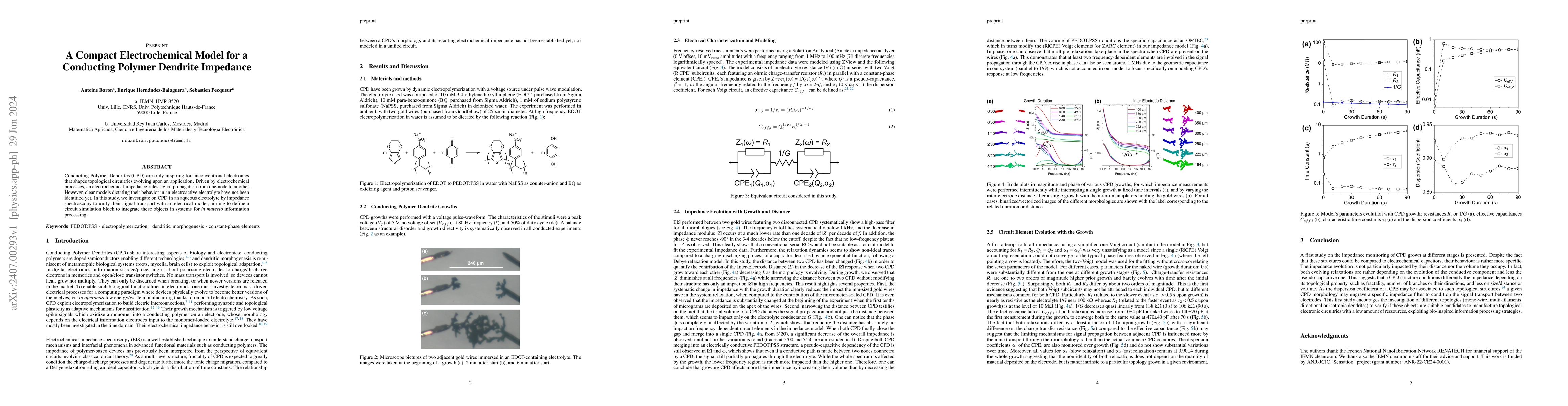 Thumbnail for A Compact Electrochemical Model for a Conducting Polymer Dendrite
  Impedance