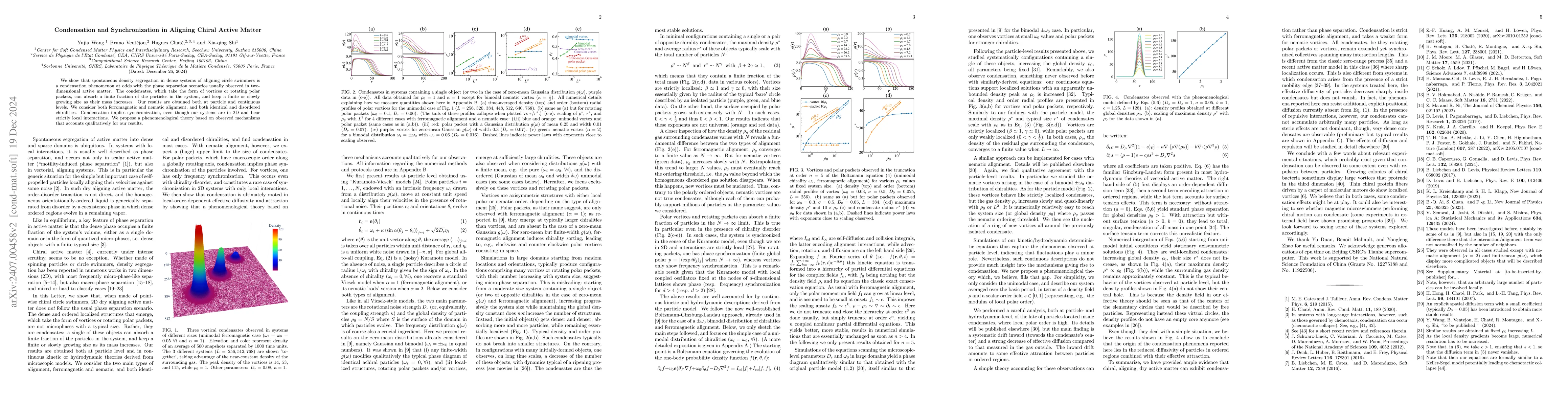 Thumbnail for Condensation and Synchronization in Aligning Chiral Active Matter