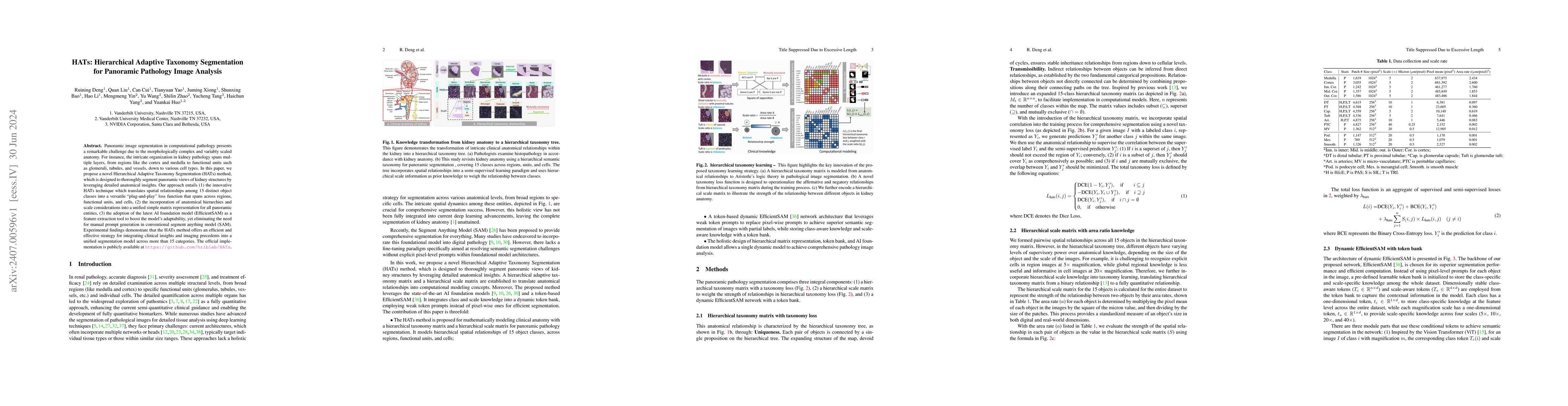Thumbnail for HATs: Hierarchical Adaptive Taxonomy Segmentation for Panoramic
  Pathology Image Analysis