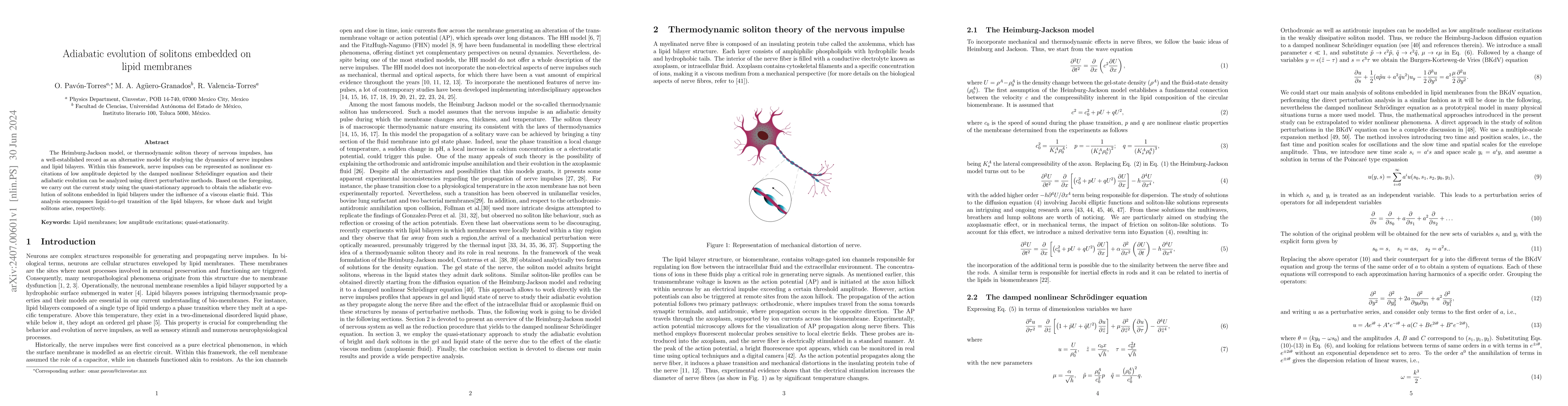 Thumbnail for Adiabatic evolution of solitons embedded on lipid membranes