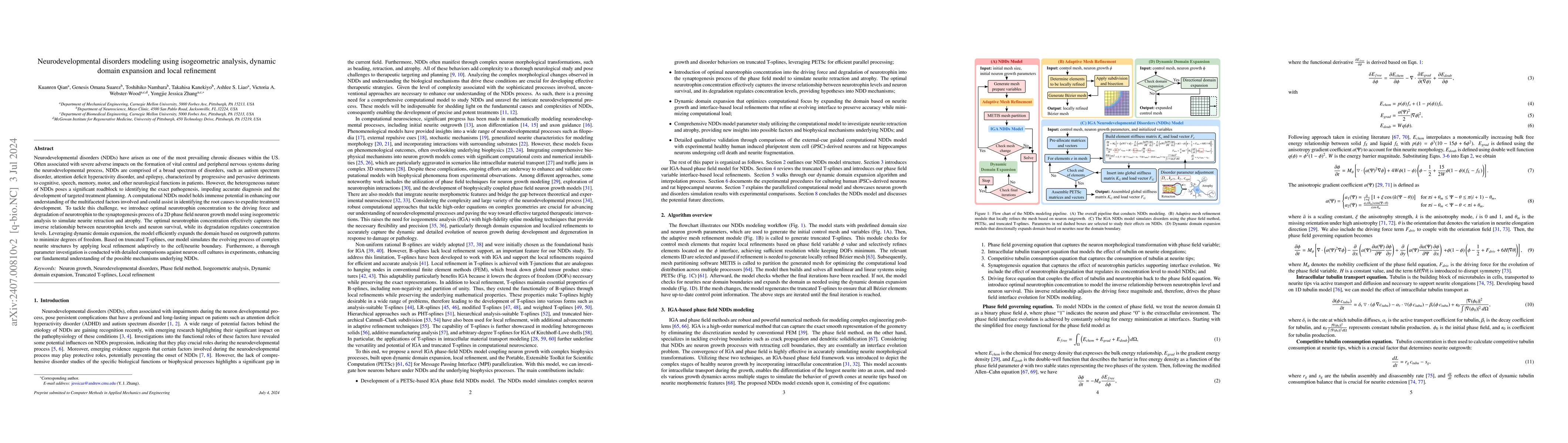 Thumbnail for Neurodevelopmental disorders modeling using isogeometric analysis,
  dynamic domain expansion and local refinement