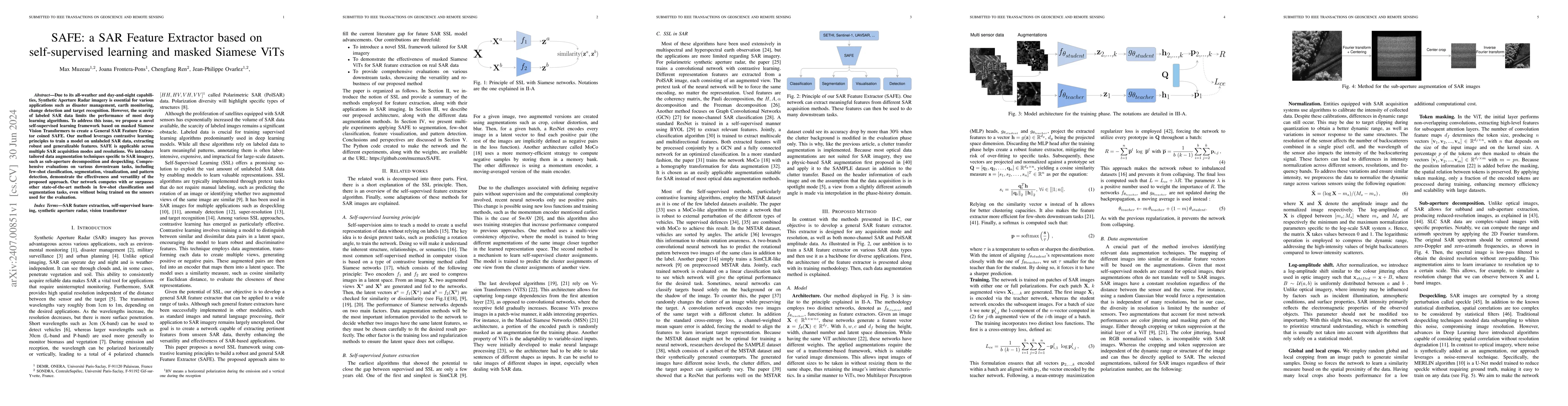 Thumbnail for SAFE: a SAR Feature Extractor based on self-supervised learning and
  masked Siamese ViTs