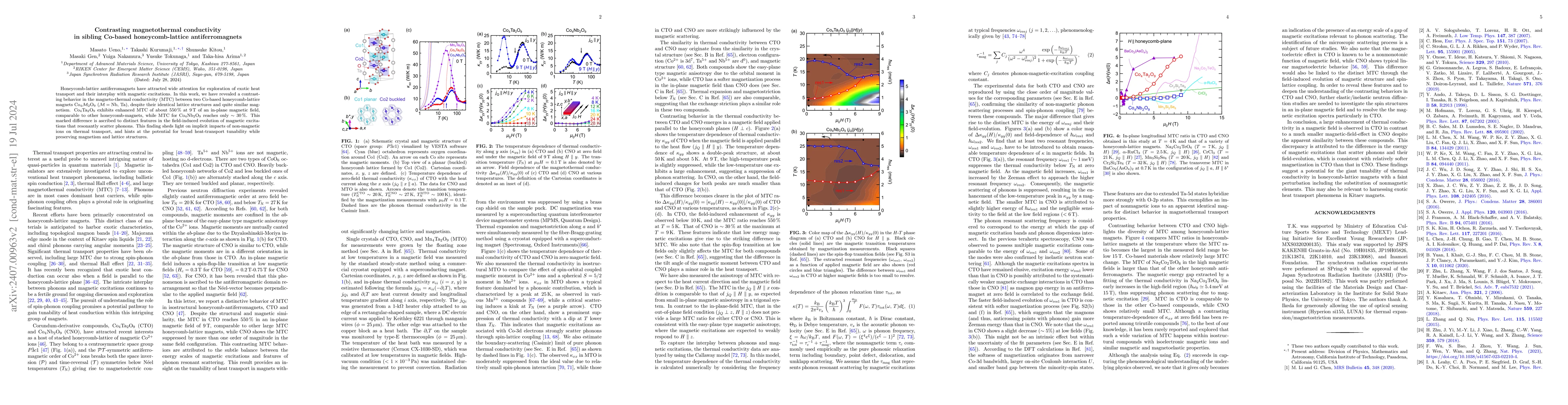 Thumbnail for Contrasting magnetothermal conductivity in sibling Co-based
  honeycomb-lattice antiferromagnets