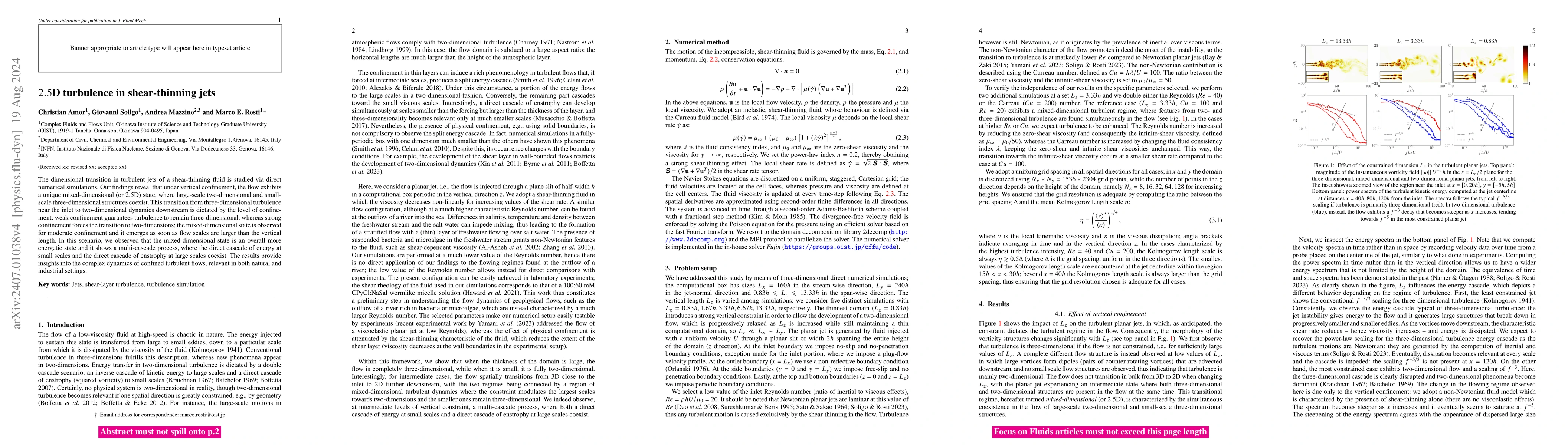 Thumbnail for 2.5D turbulence in shear-thinning jets