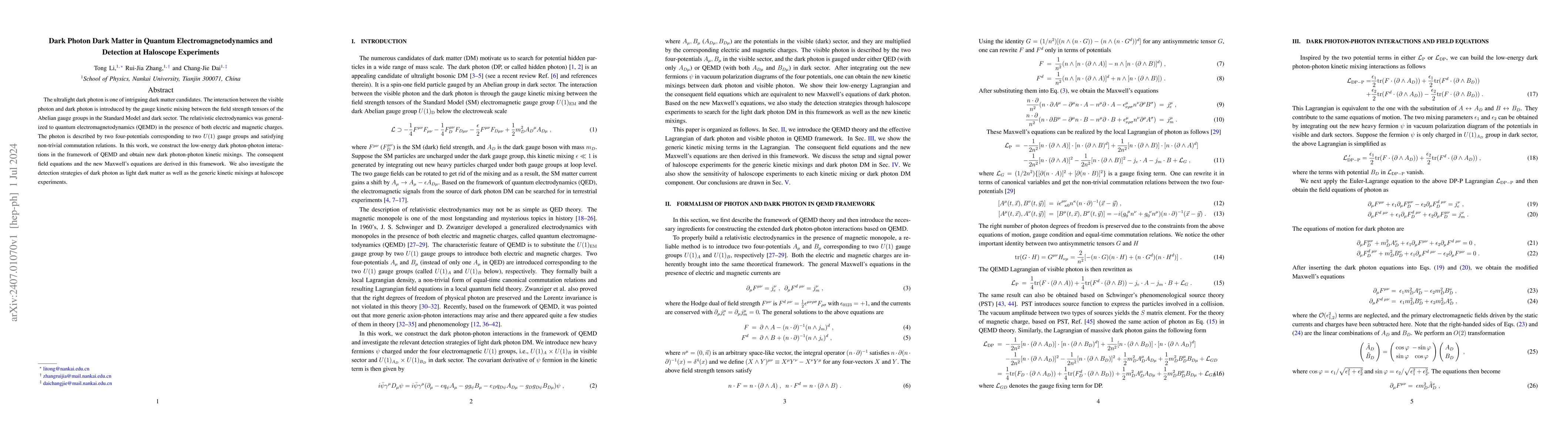 Thumbnail for Dark Photon Dark Matter in Quantum Electromagnetodynamics and Detection
  at Haloscope Experiments