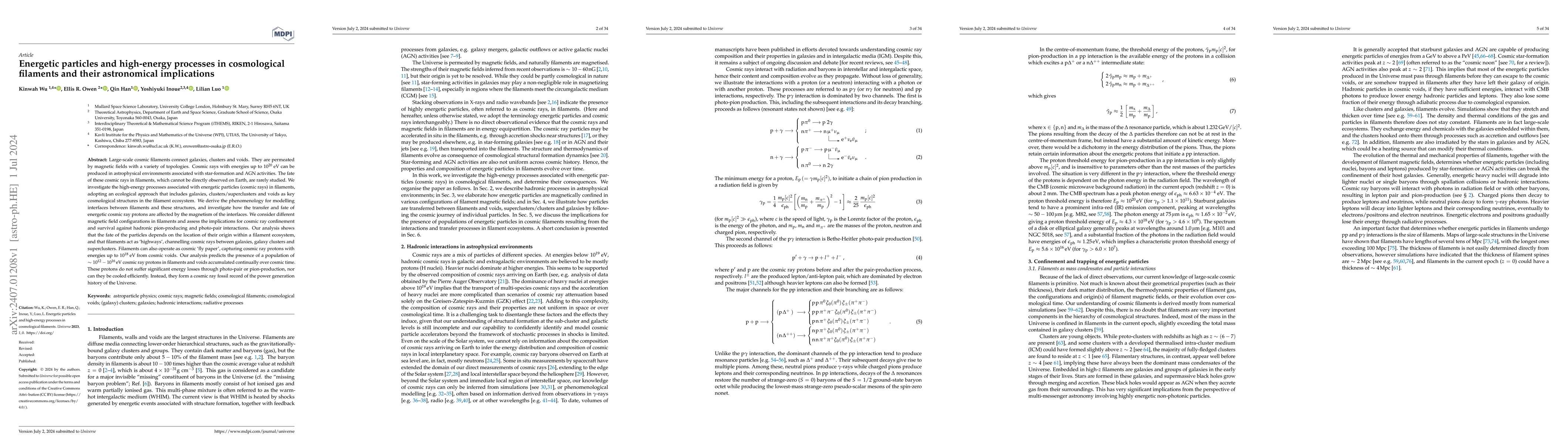 Thumbnail for Energetic particles and high-energy processes in cosmological filaments
  and their astronomical implications