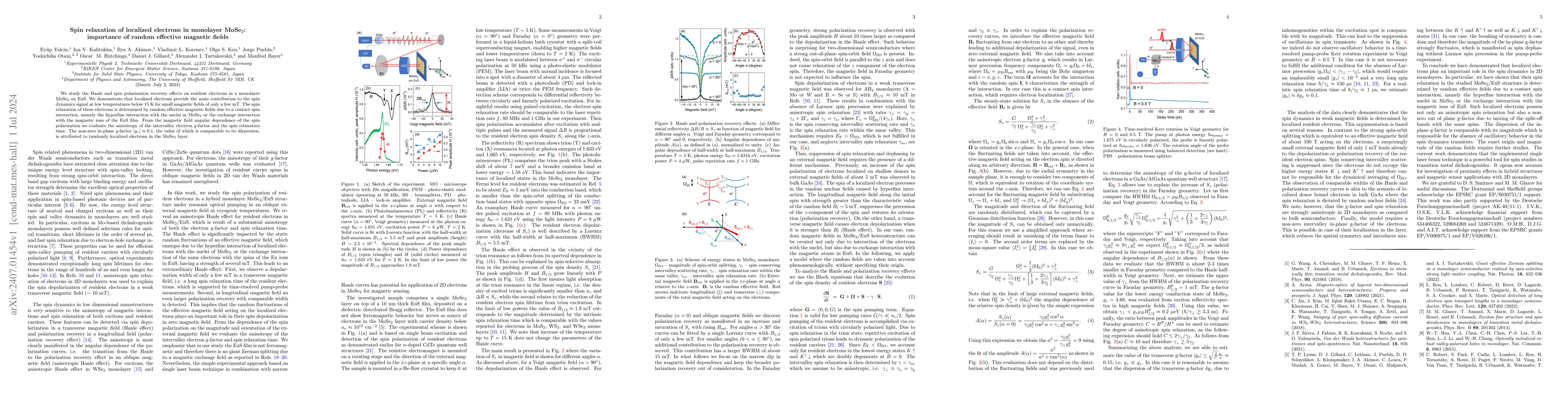 Thumbnail for Spin relaxation of localized electrons in monolayer MoSe$_2$: importance
  of random effective magnetic fields